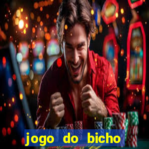 jogo do bicho crash bingo